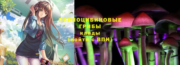 МДПВ Рославль