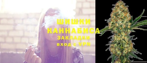 МДПВ Рославль